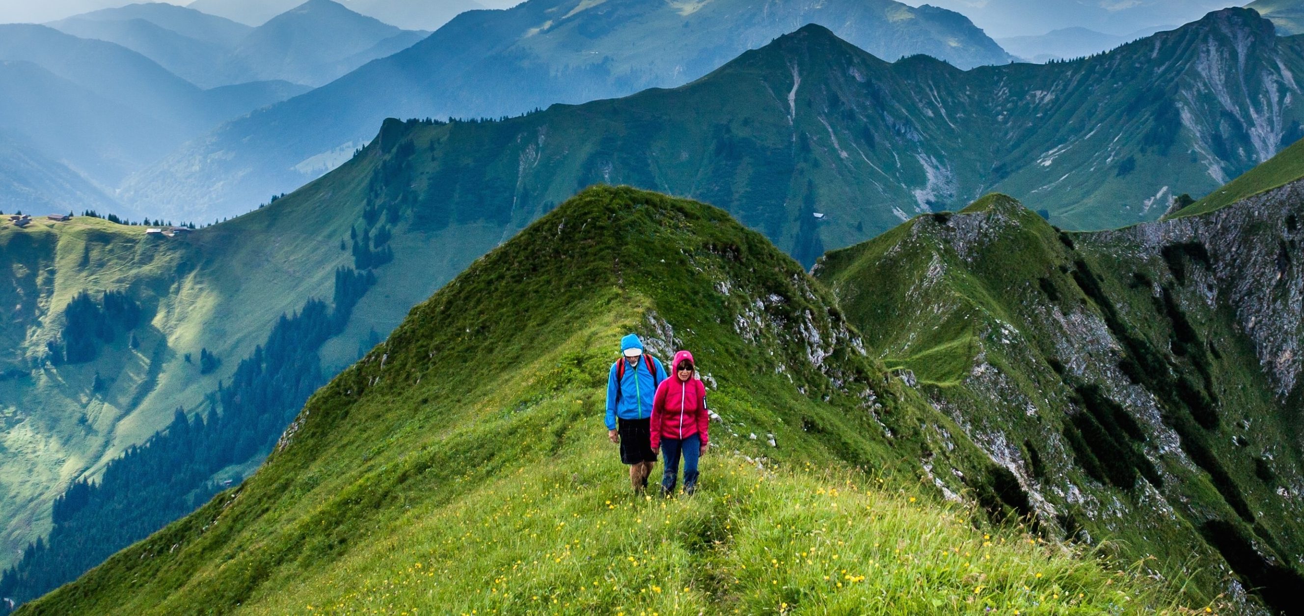 The Great Conversation taken Captive